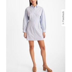 Express Striped Fitted Poplin Long Sleeve Mini Shirt Dress